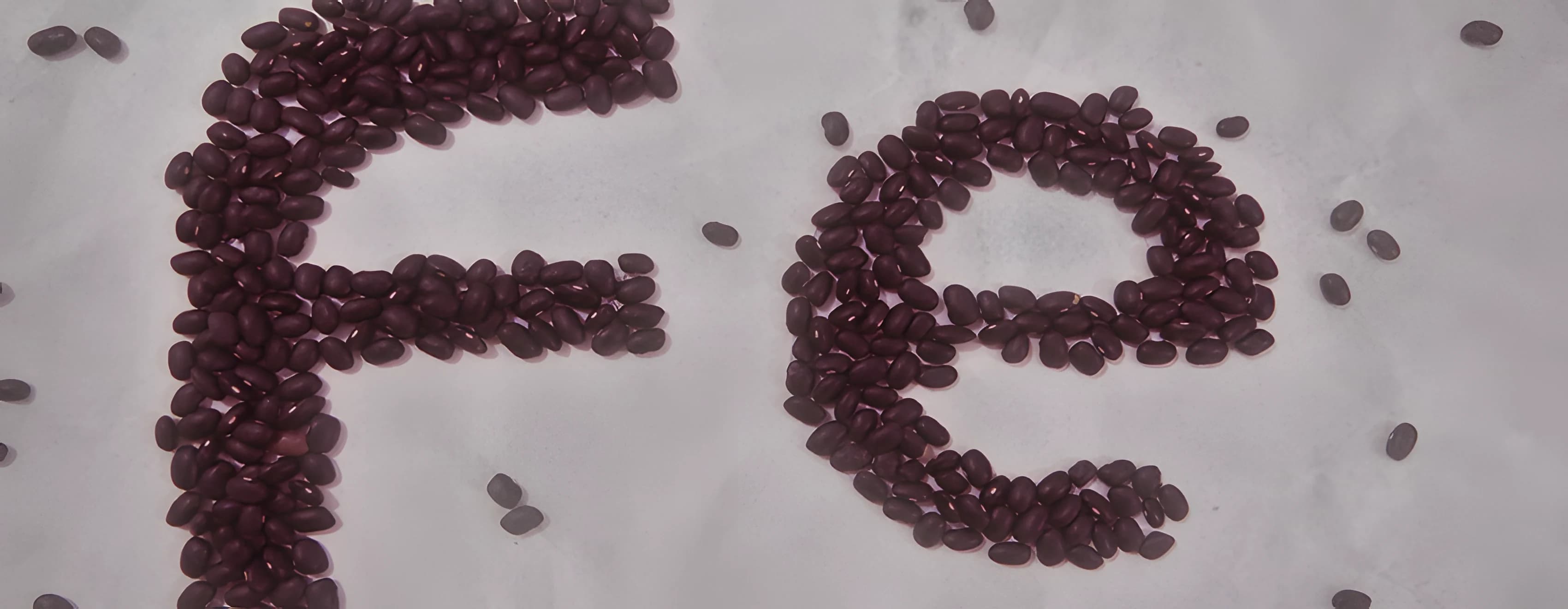 Anemia Ferropriva