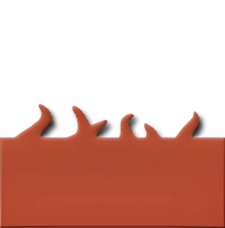 Anatomia Cardíaca