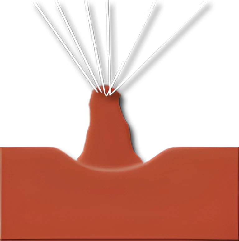 Anatomia Cardíaca