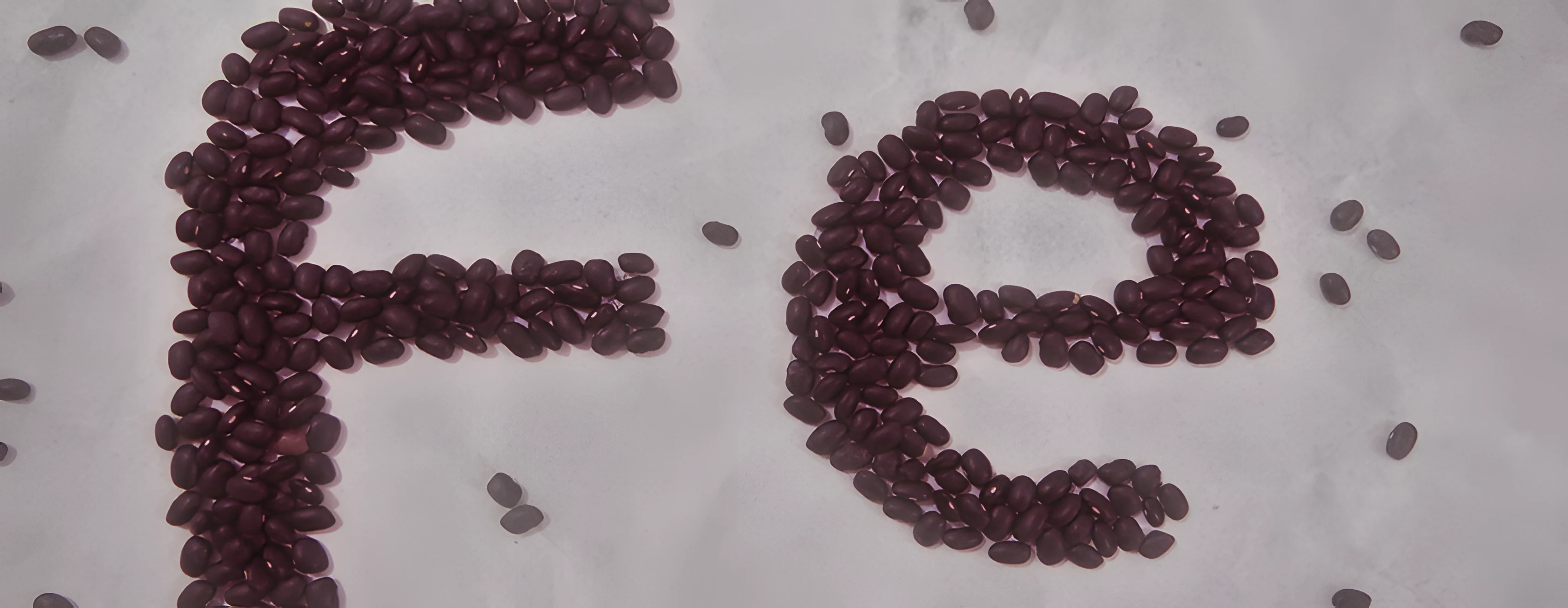 Anemia Ferropriva