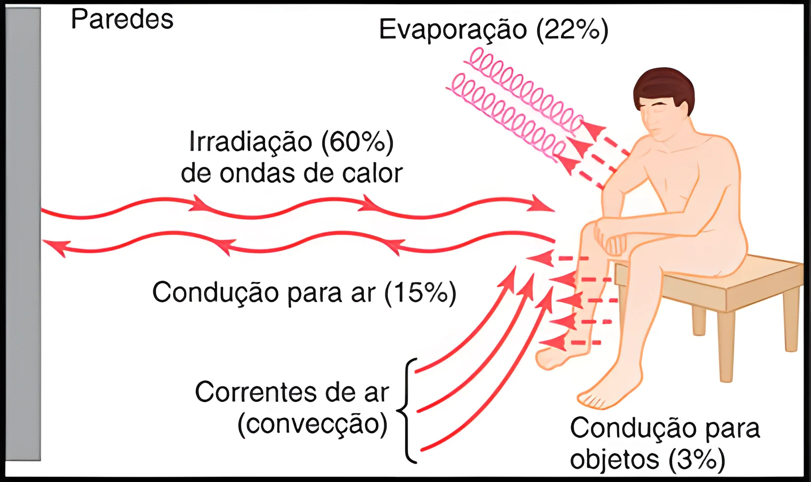 Termorregulação