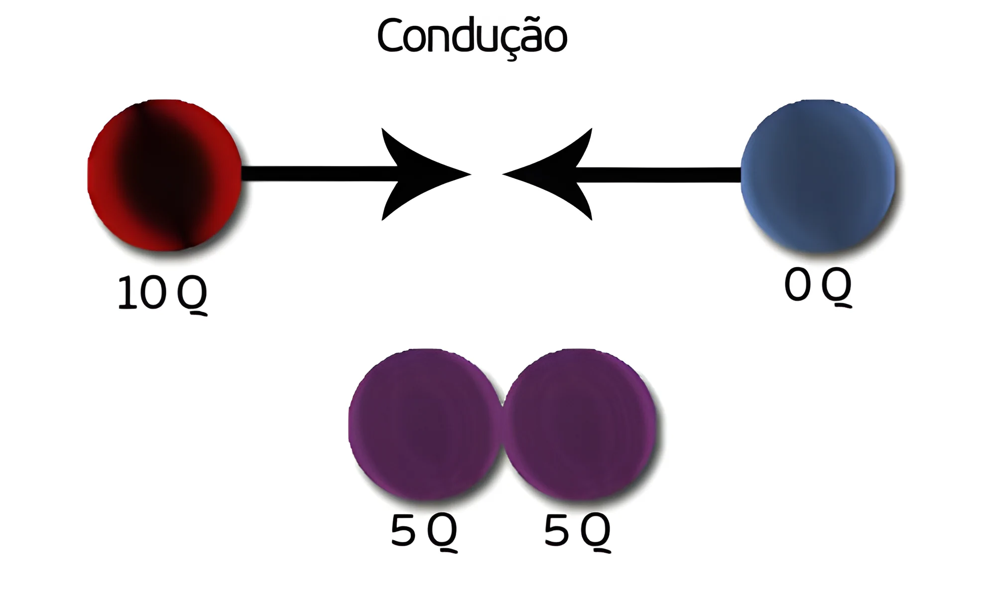 Termorregulação