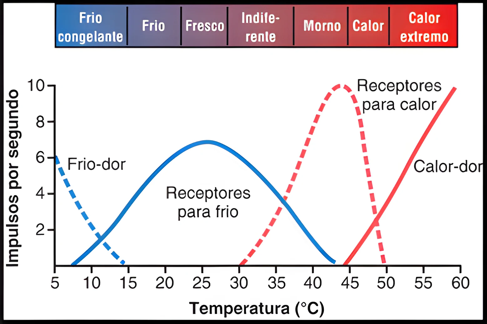 Termorregulação
