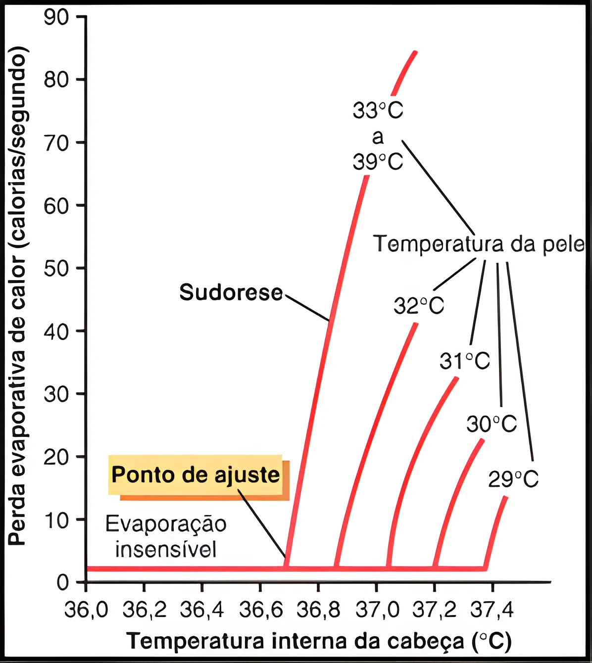 Termorregulação